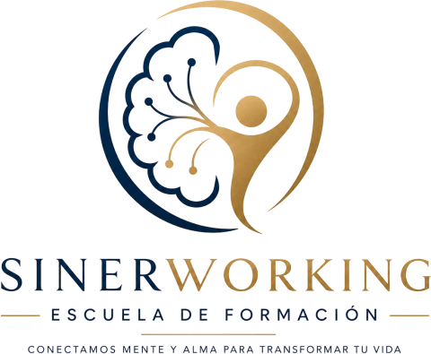 SINERWORKING